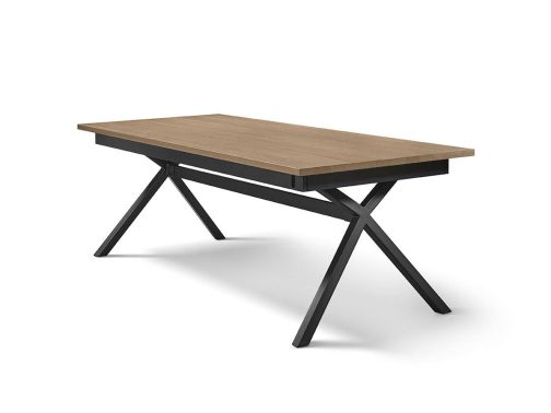Tafel uitschuifbaar 220-320x98