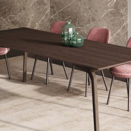 Spintafel Nyro 220×100